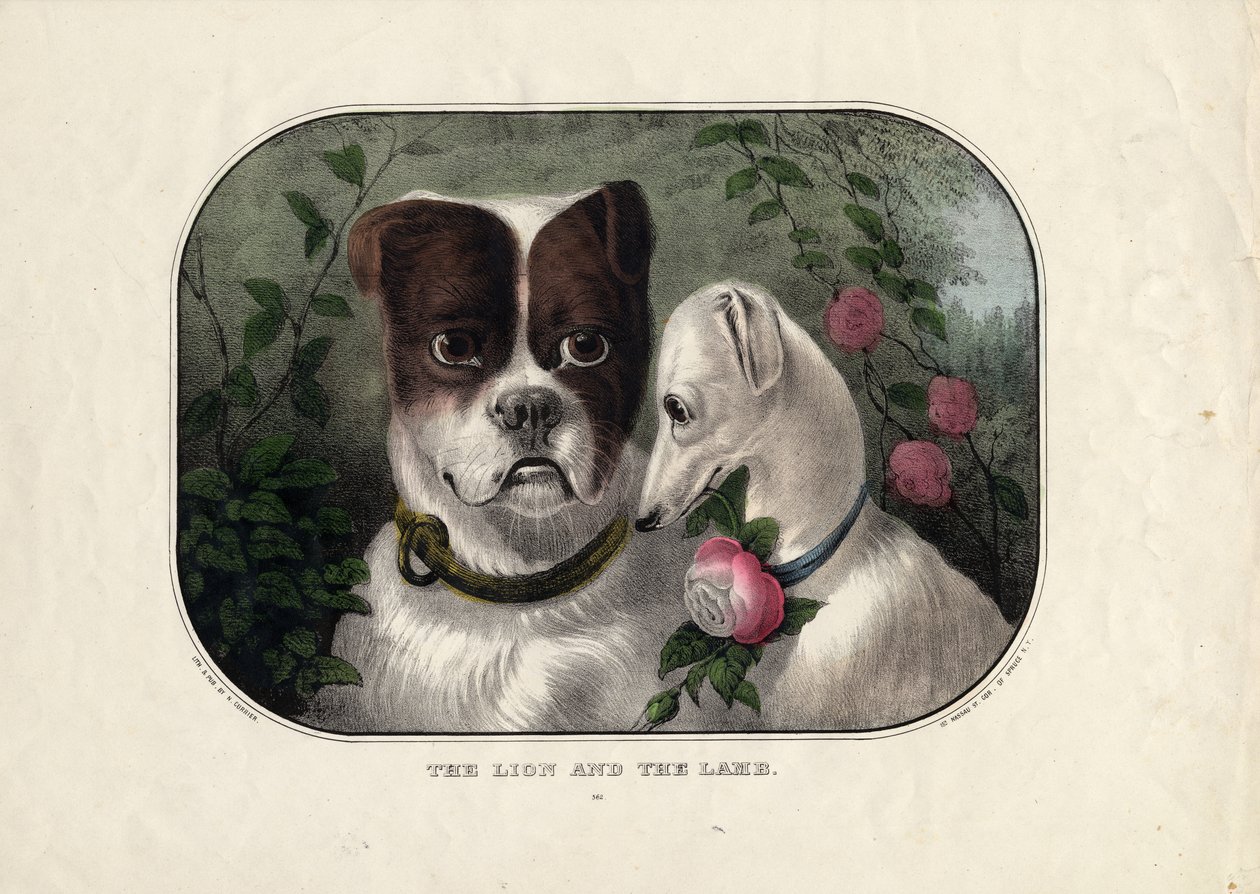 De leeuw en het lam, uitgegeven door N. Currier, New York, c.1838-56 door Nathaniel Currier