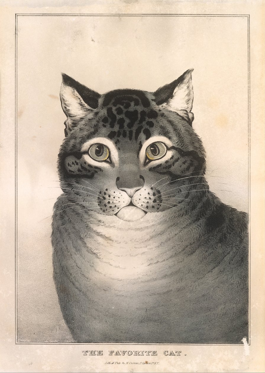 De favoriete kat, 1838-46 door Nathaniel Currier