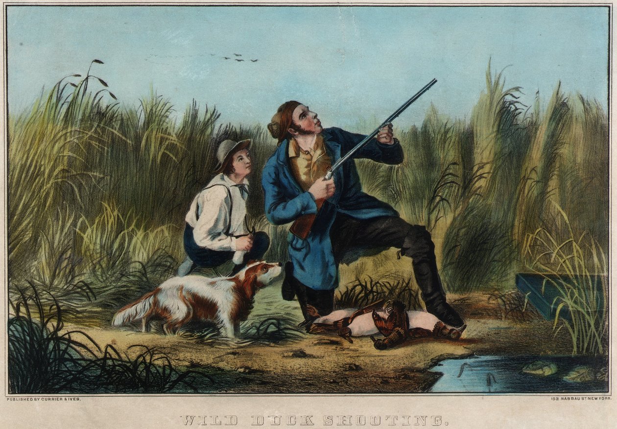 Wilde eenden schieten door Nathaniel Currier