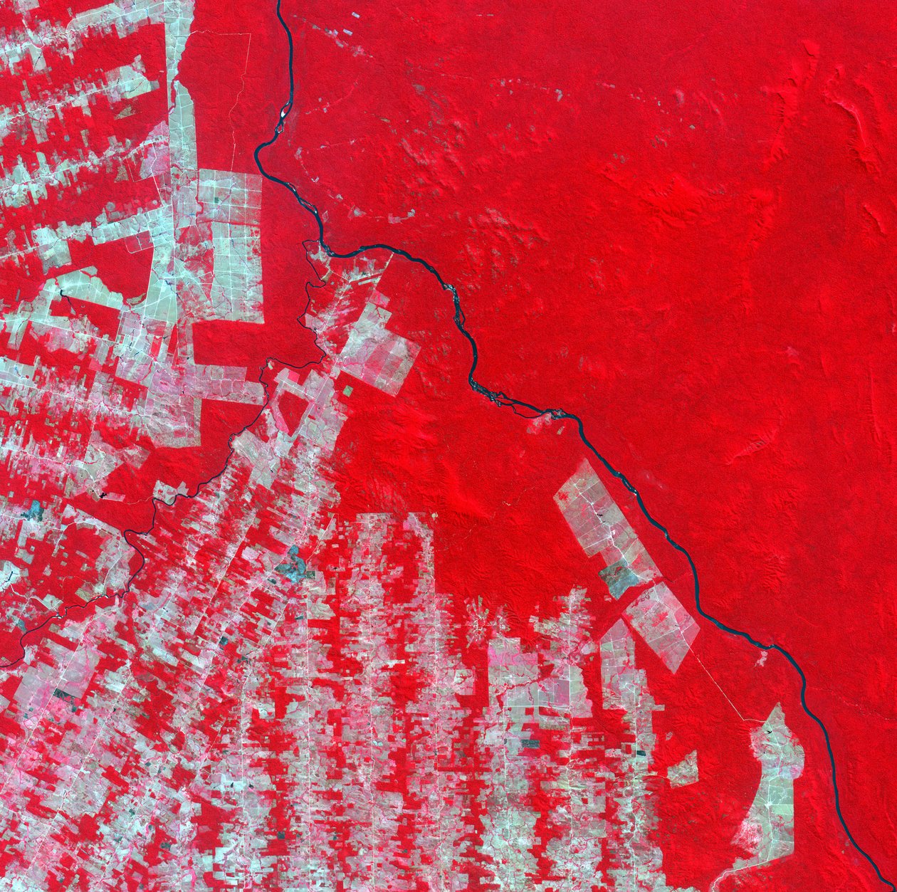 Valse kleuren satellietbeeld van ontbossing in de staat Rondonia, Brazilië in 2000. Roze en bruine gebieden zijn ontbost land, tropisch regenwoud toont als felrood. Zuid-Amerika Wetenschap door National Aeronautics and Space Administration National Aeronautics and Space Administration
