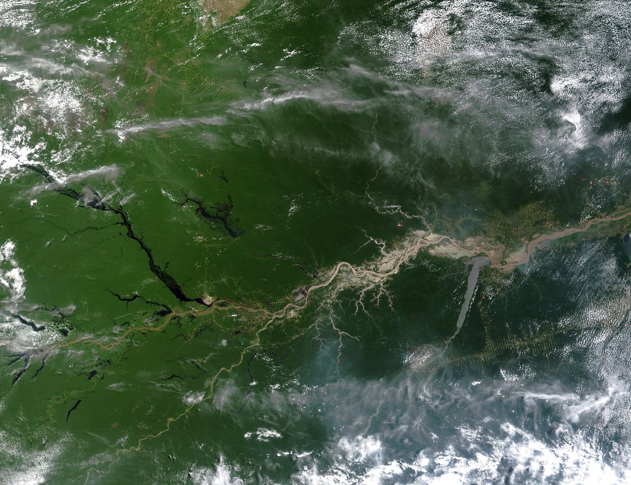 Echtkleurig satellietbeeld van de Amazone, waarlangs een vijfde van het rivierwater dat de oceanen van de aarde binnenkomt, stroomt. Zuid-Amerika Wetenschap Geografie door National Aeronautics and Space Administration National Aeronautics and Space Administration