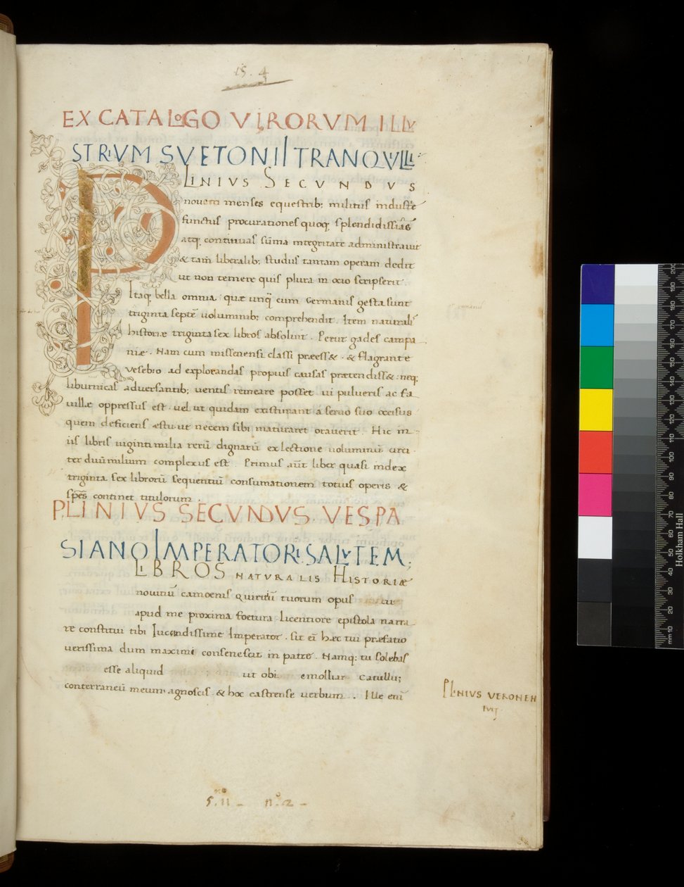 Ms 394.1. Plinius de Oudere, Historia naturalis, f.1r. Verlichte initiaal [P] met witte wijnstokdecoratie (onafgewerkt), Napels, midden 15e eeuw, c.1442 (perkament) door Neapolitan School