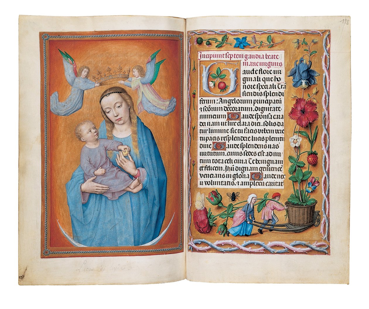 Getijdenboek, Gent of mogelijk Brugge, c.1505 door Netherlandish School