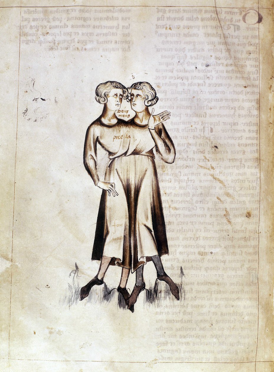 Tekening van Tweelingen, uit een vertaling van een Perzisch astrologisch verhandeling door Jafar ibn Muhammad door Netherlandish School