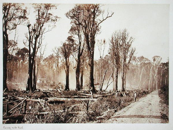 Seventy-Mile Bush door New Zealander Photographer