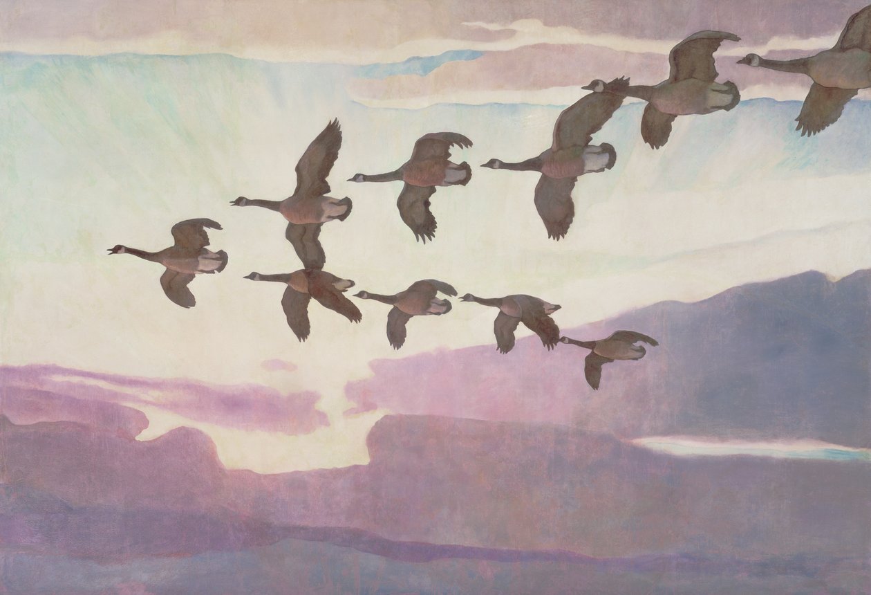Canadese Ganzen in de Lente door Newell Convers Wyeth