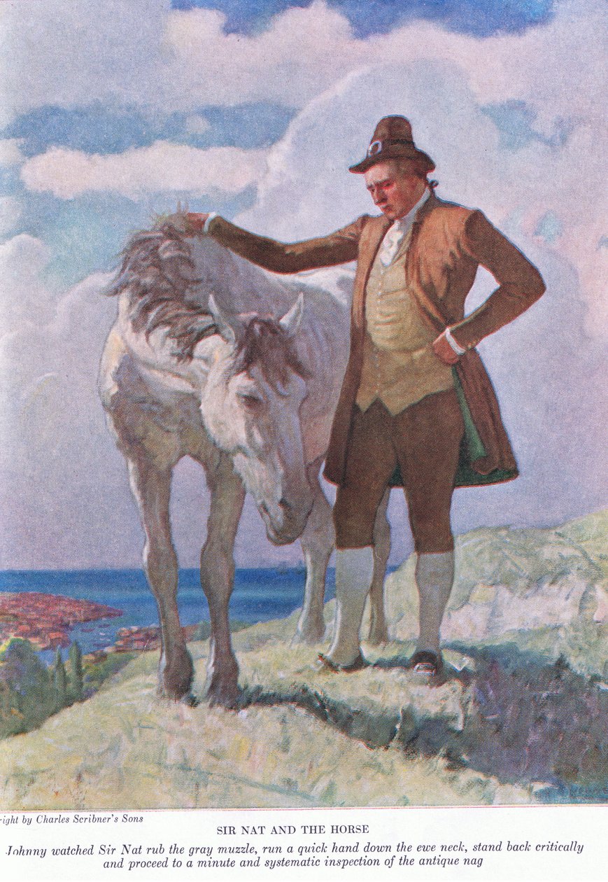 Sir Nat en het paard: Johnny keek toe hoe Sir Nat de grijze snuit wreef; stapte terug en begon aan een minutieuze en systematische inspectie door Newell Convers Wyeth