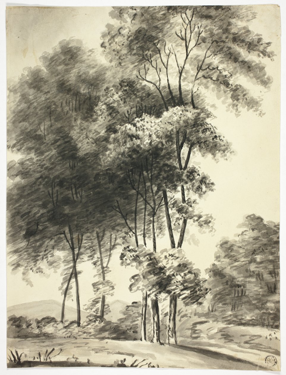 Bomen met bergen in de verte door Nicholas Pocock