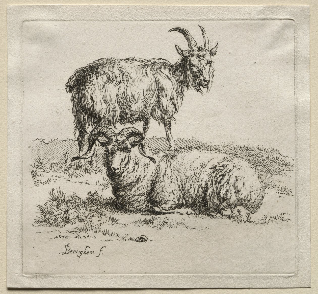 Animalia: Ram en Geit door Nicolaes Berchem