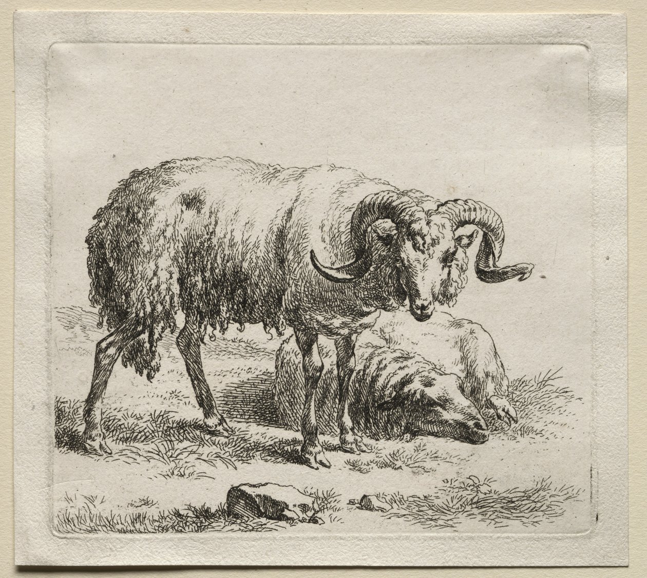 Animalia: Ram en schaap door Nicolaes Berchem