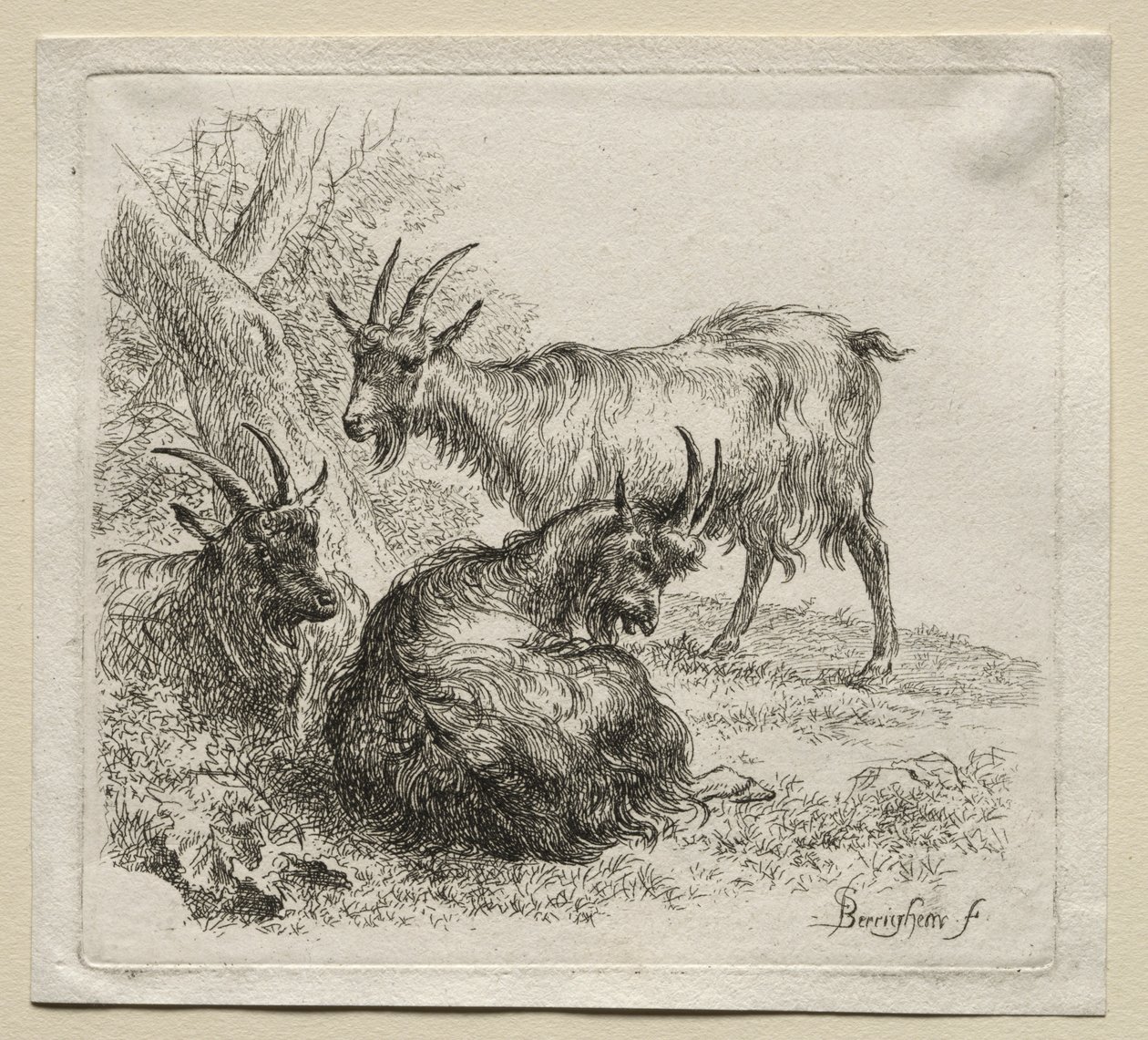 Animalia: Drie Geiten door Nicolaes Berchem