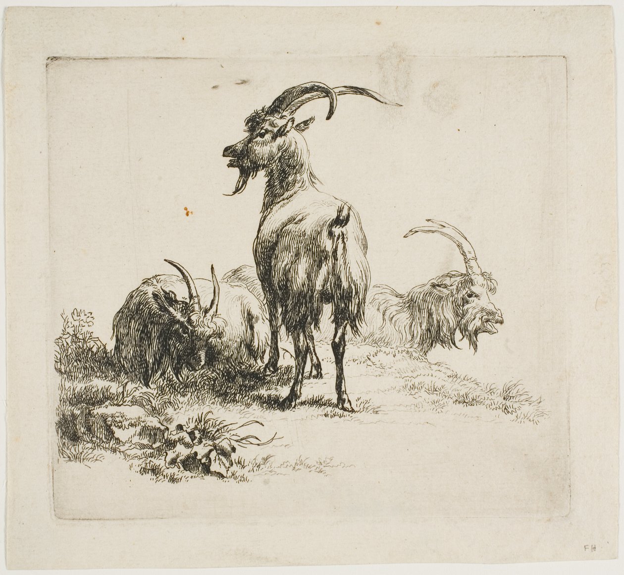 Geiten, uit Verschillende Dieren door Nicolaes Berchem