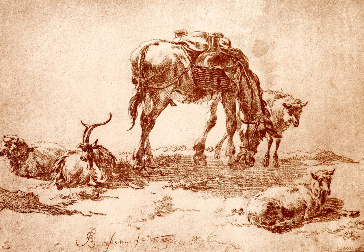 Weide met ezel, geit en schapen door Nicolaes Pietersz. Berchem