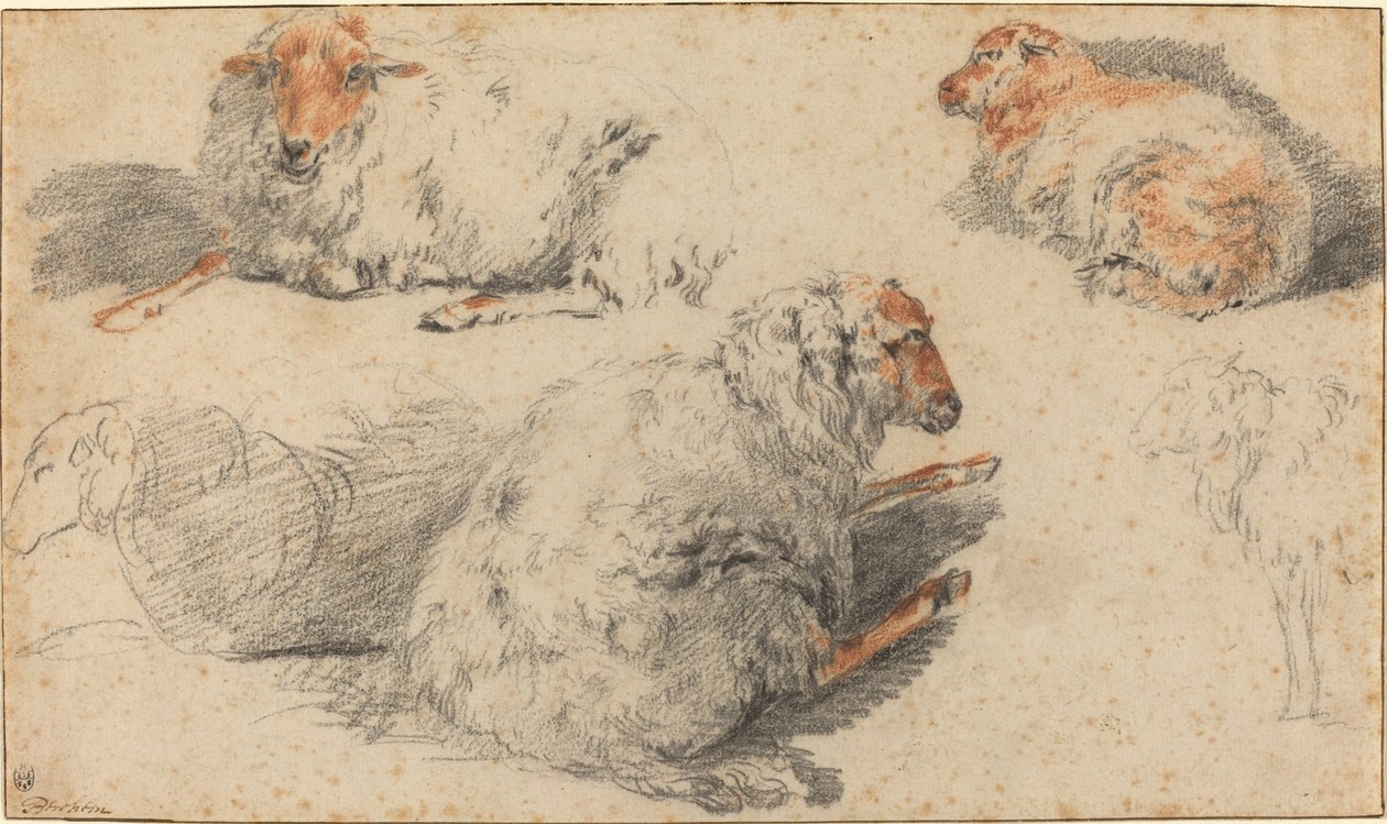 Schapen door Nicolaes Pietersz Berchem