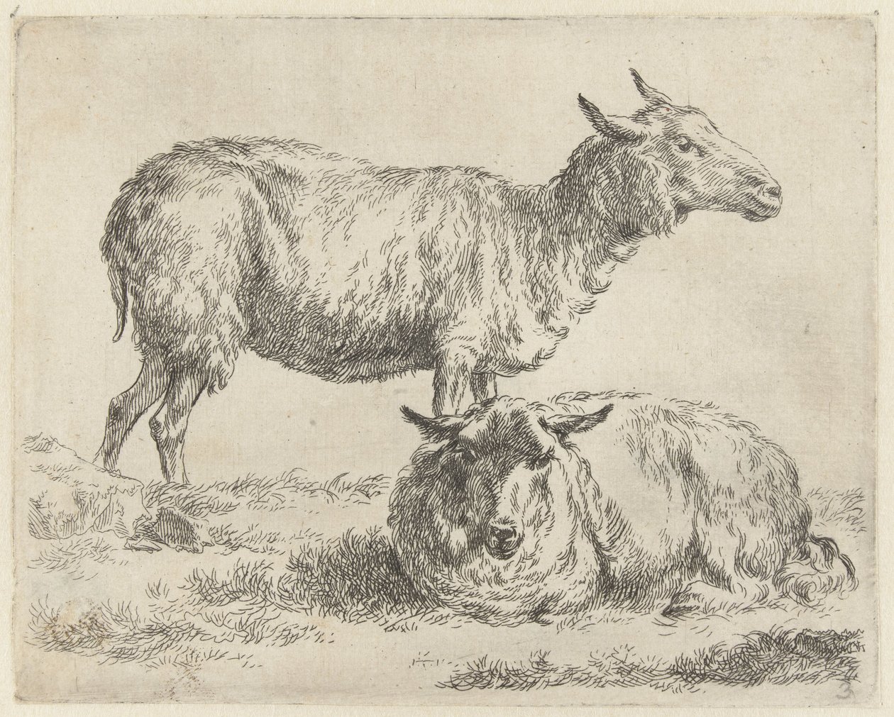 Staand en liggend schaap door Nicolaes Pietersz Berchem