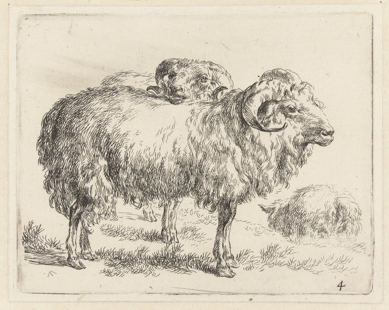 Twee rammen en een schaap door Nicolaes Pietersz Berchem