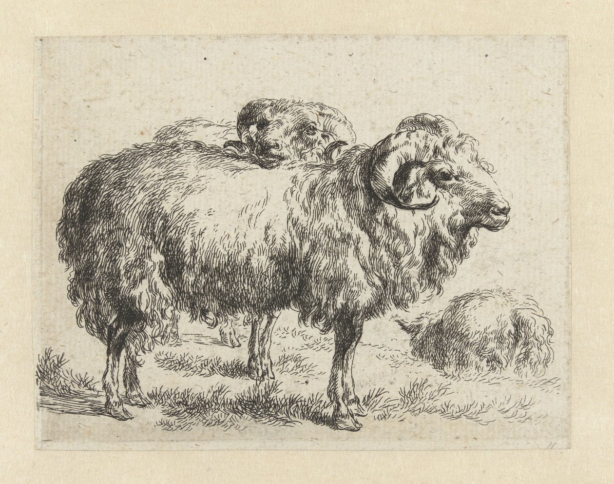 Twee rammen en een schaap door Nicolaes Pietersz Berchem
