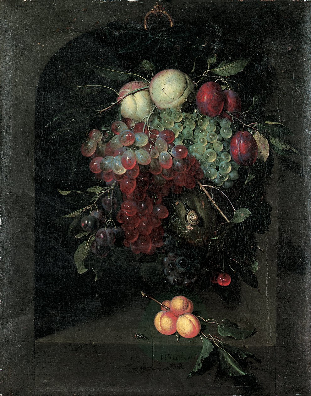 Guirlande van druiven, perziken, pruimen en kersen met een slak in een stenen nis met een tros abrikozen en een bij op een richel, 1666 door Nicolaes Van Gelder