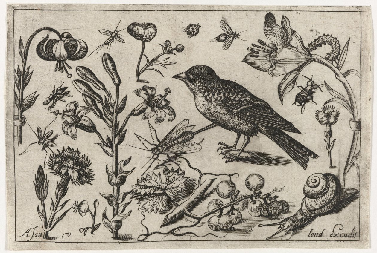 Bloemen, een slak en een vogel door Nicolaes de Bruyn (possibly)