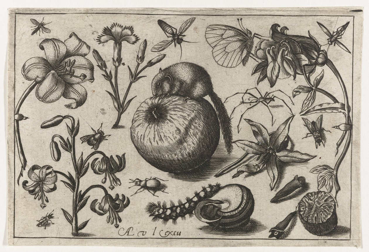 Bloemen en een muis op een appel door Nicolaes de Bruyn (possibly)