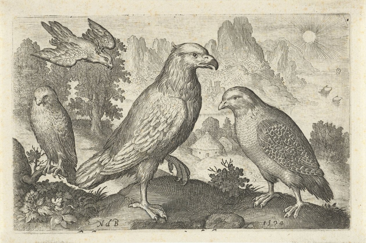 Arend en andere roofvogels door Nicolaes de Bruyn