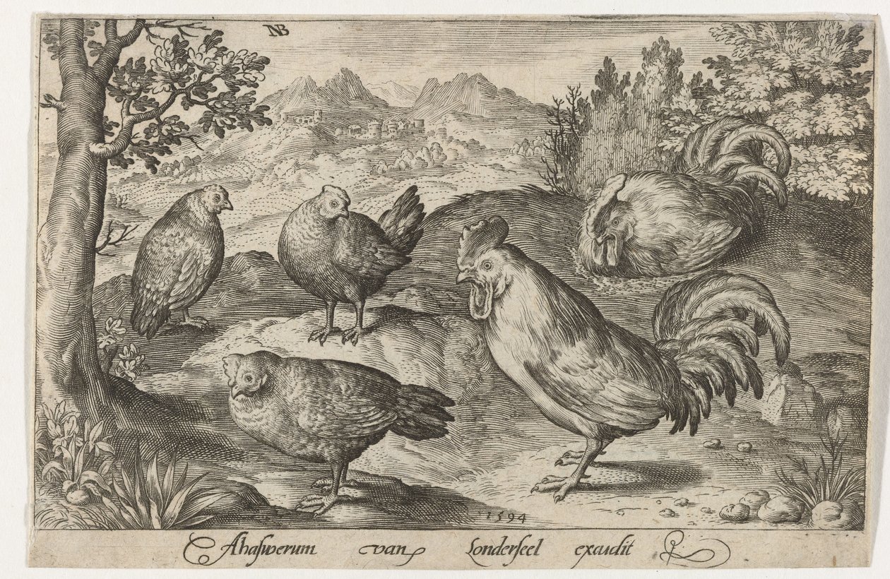 Drie kippen en twee hanen Vogels en insecten (serietitel) door Nicolaes de Bruyn