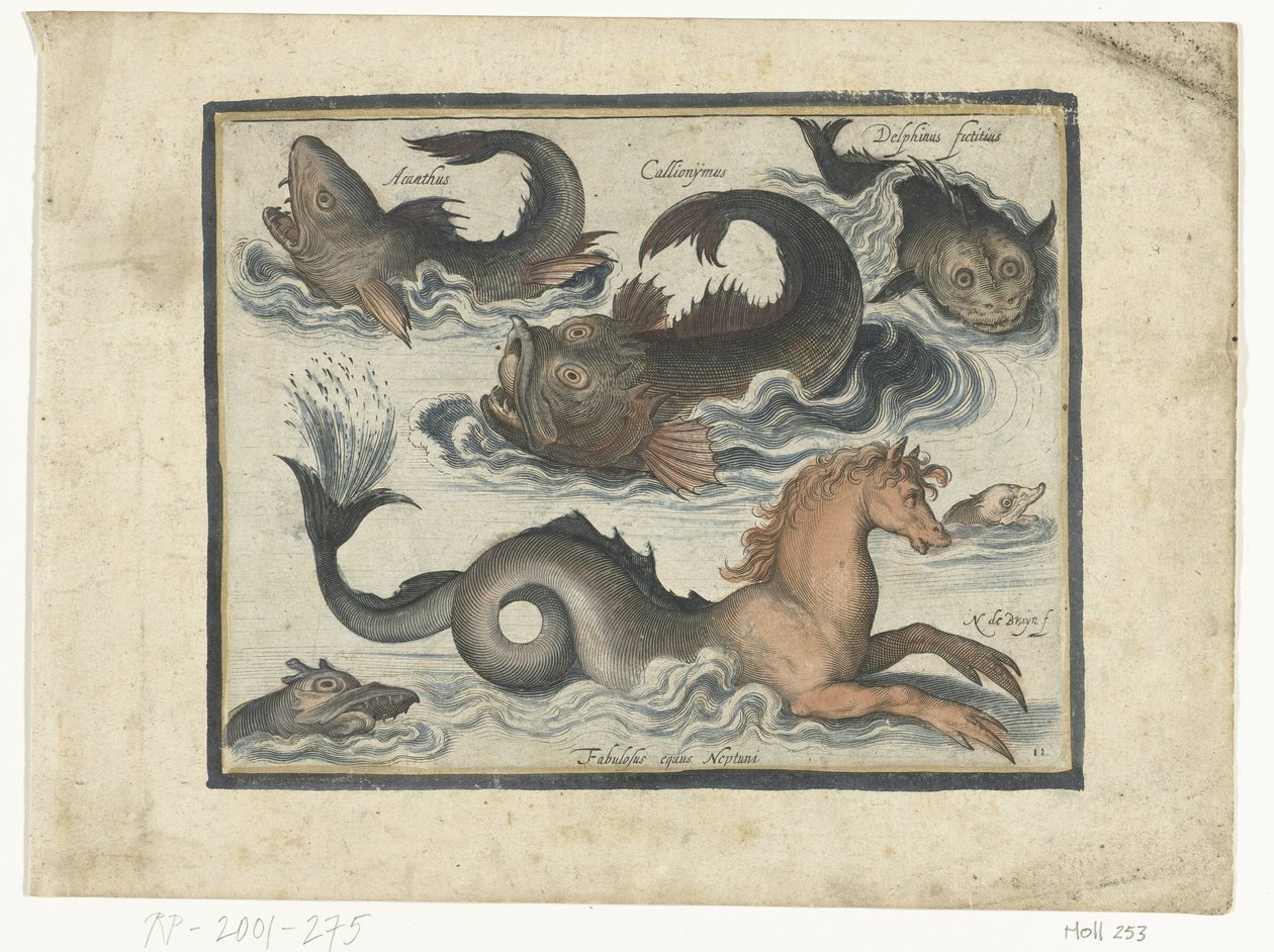 Fantastische waterdieren, onder andere zeepaard door Nicolaes de Bruyn