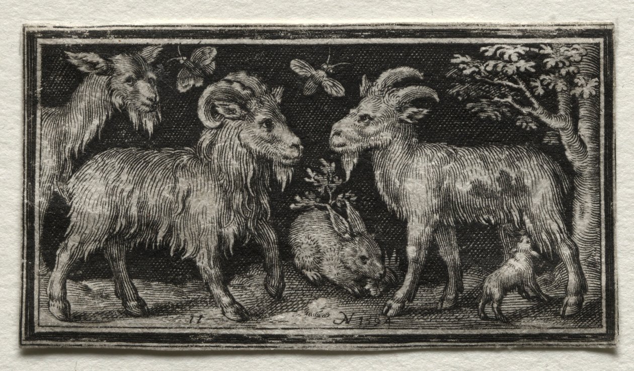 Geiten en Haas, 1594 door Nicolaes de Bruyn