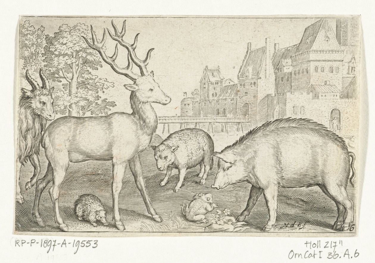 Hert, egel, schaap, kikker en varken door Nicolaes de Bruyn