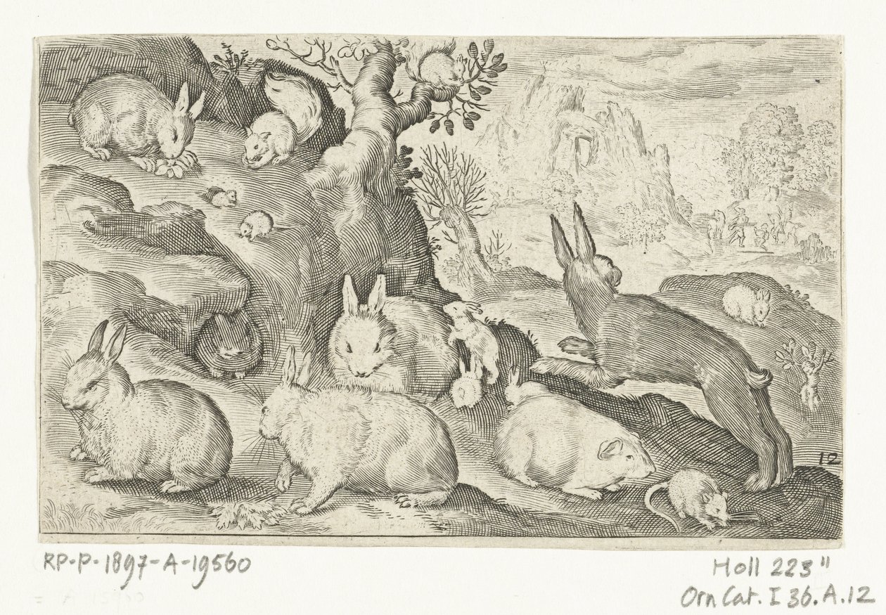 Konijnen, eekhoorn, cavia en muis door Nicolaes de Bruyn