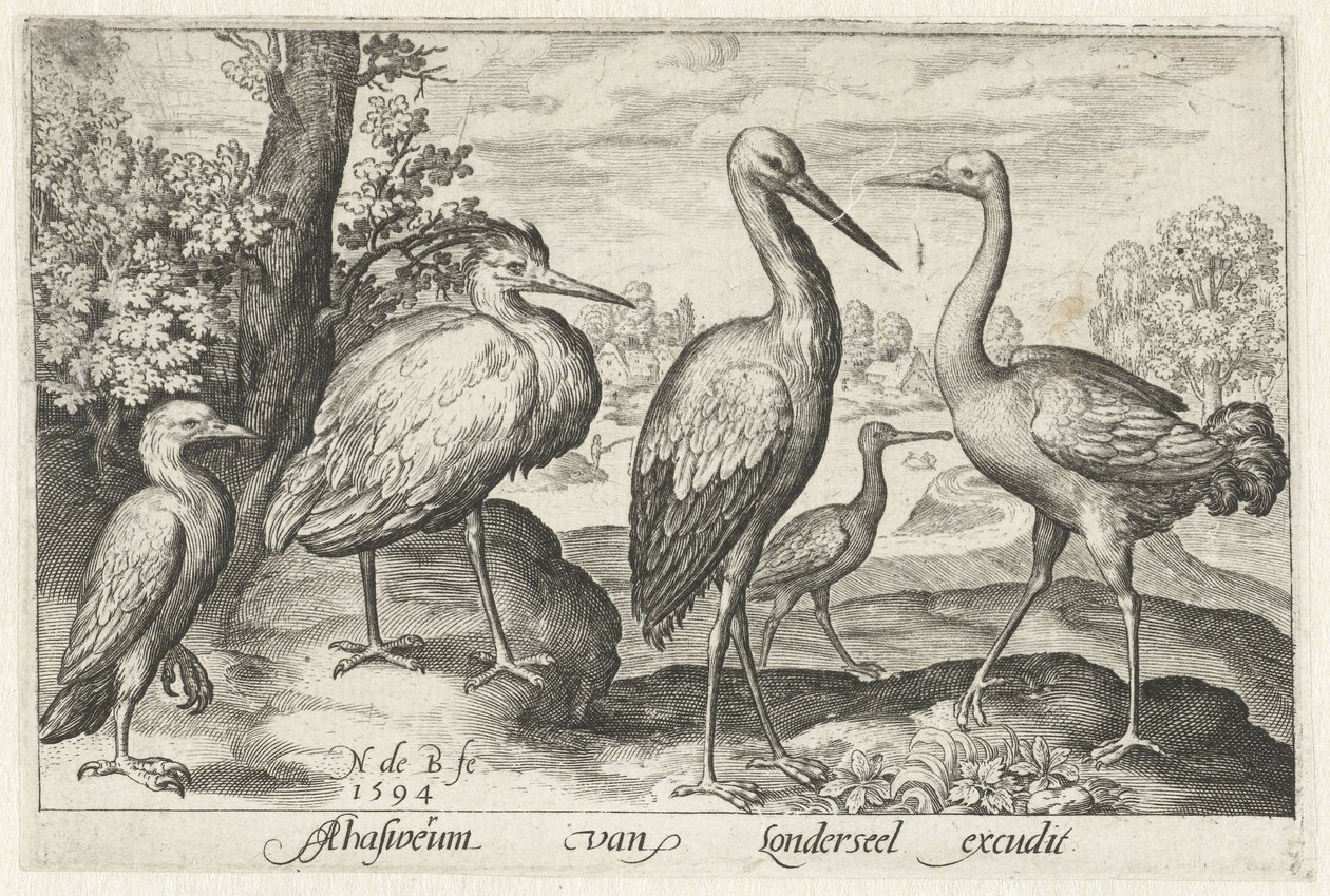 Ooievaar, kraanvogel, reiger en lepelaar door Nicolaes de Bruyn