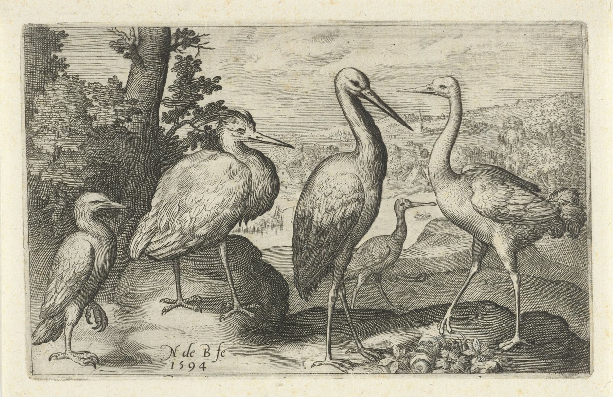 Ooievaar, kraanvogel, reiger en lepelaar door Nicolaes de Bruyn
