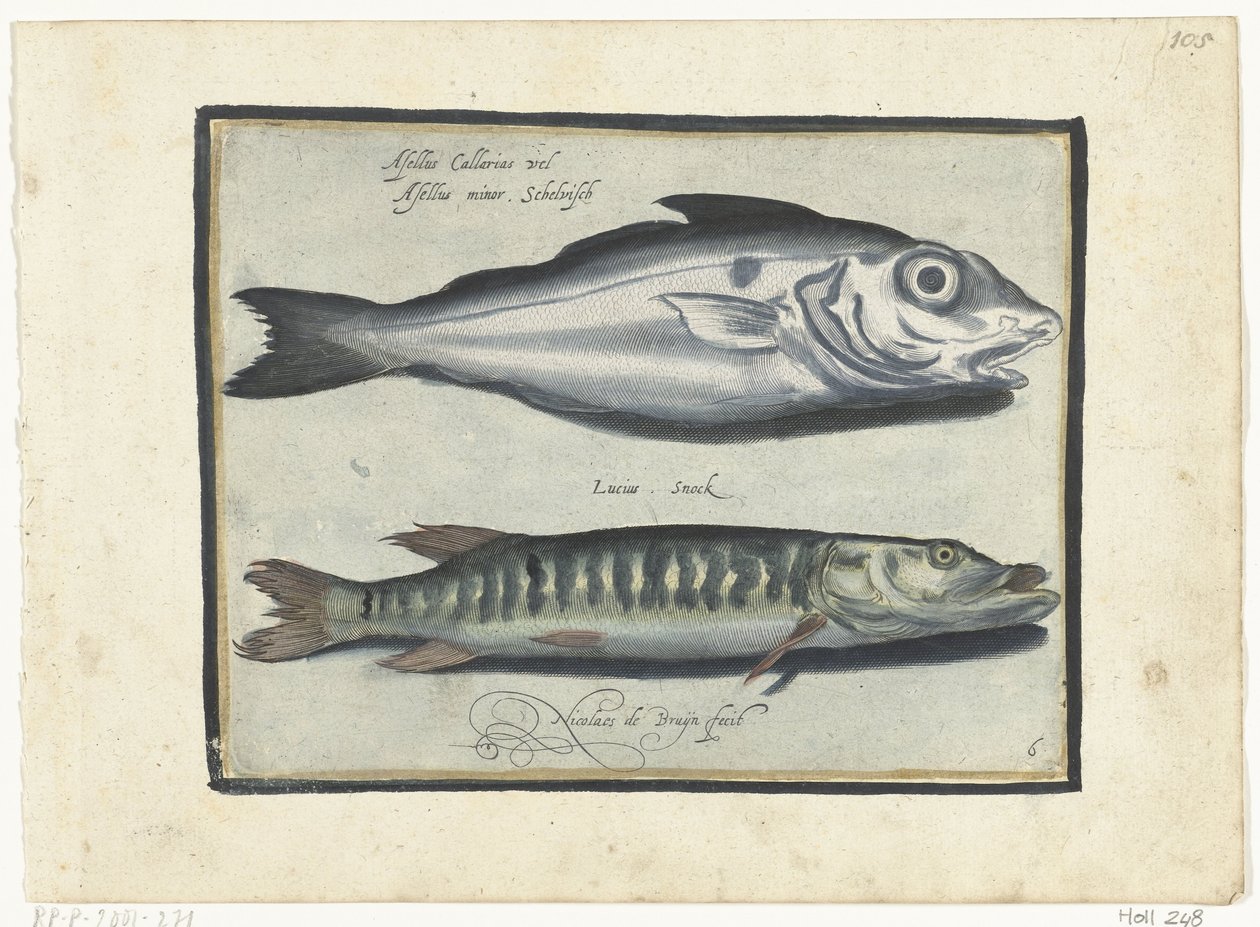 Schelvis en snoek door Nicolaes de Bruyn