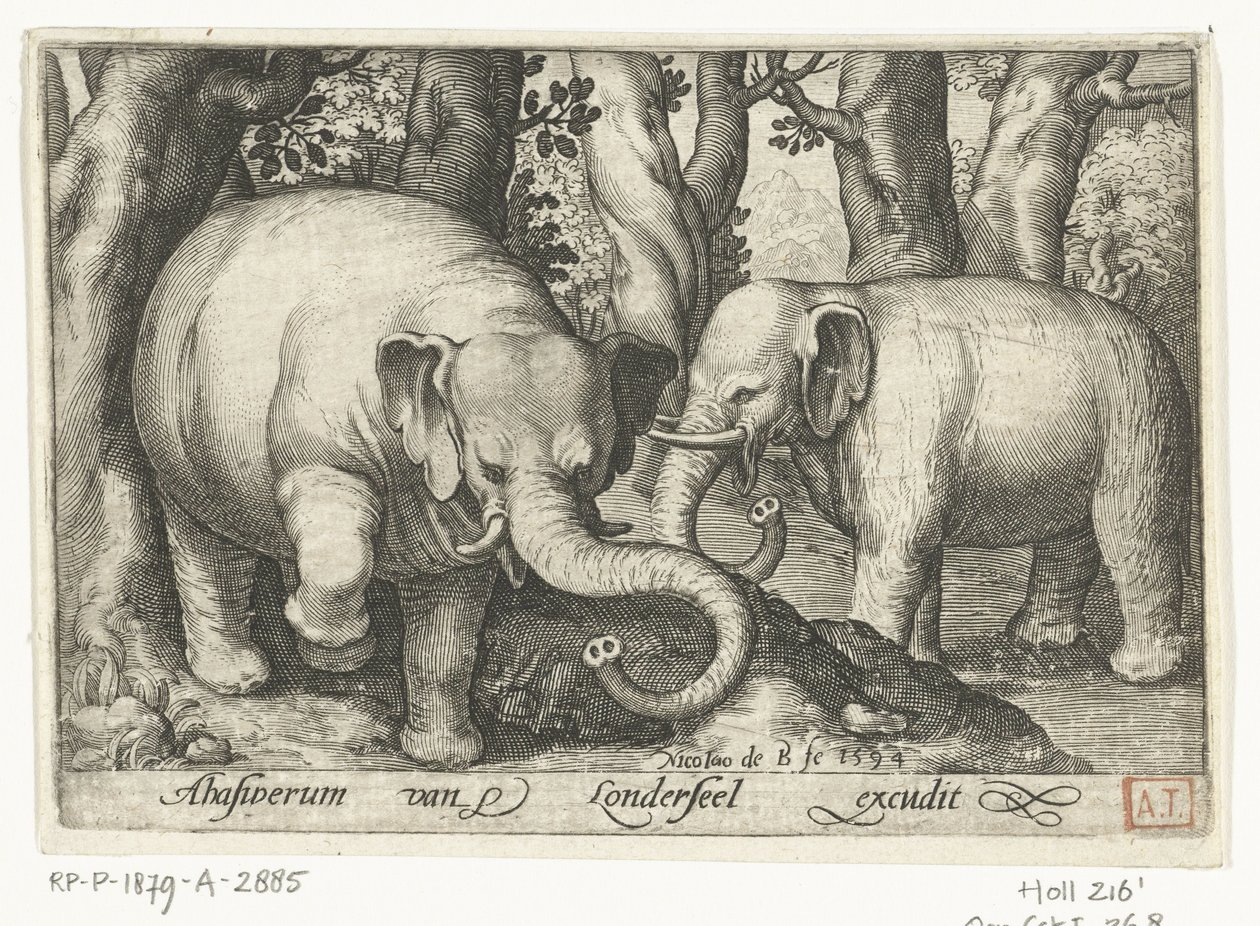 Twee olifanten (Animalivm qvadrvpedvm, Dieren in landschappen) door Nicolaes de Bruyn