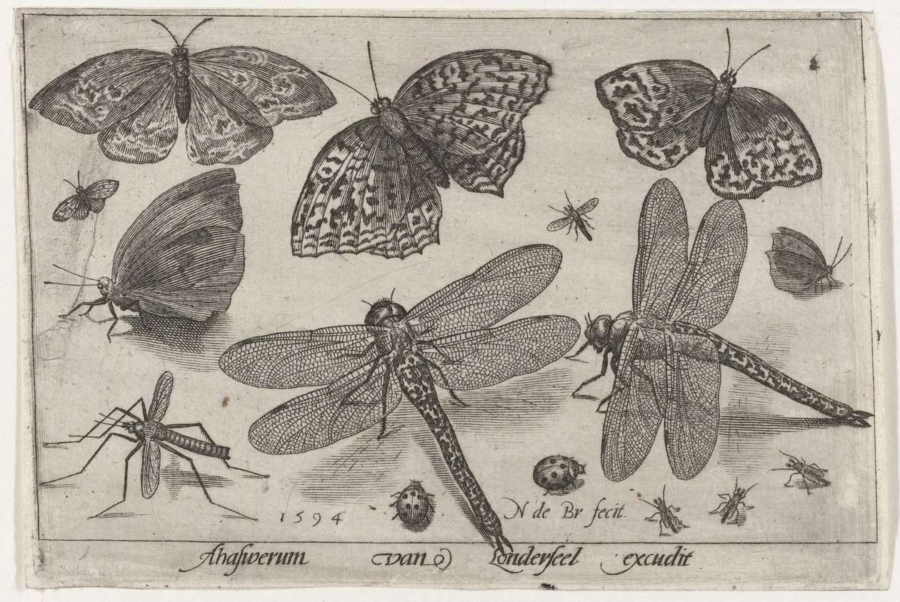 Vlinders en libellen door Nicolaes de Bruyn