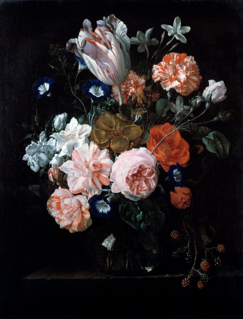 Een tulp, anjers en ochtendglorie in een glazen vaas, 17e eeuw door Nicolaes van Veerendael