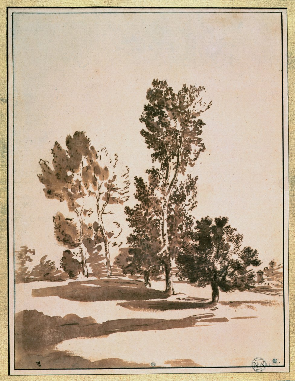 Boomstudie door Nicolas Poussin