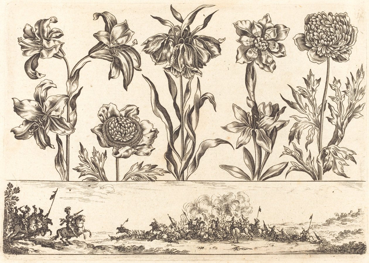 Bloemenafdruk nr. 8 door Nicolas Cochin after Balthasar Moncornet
