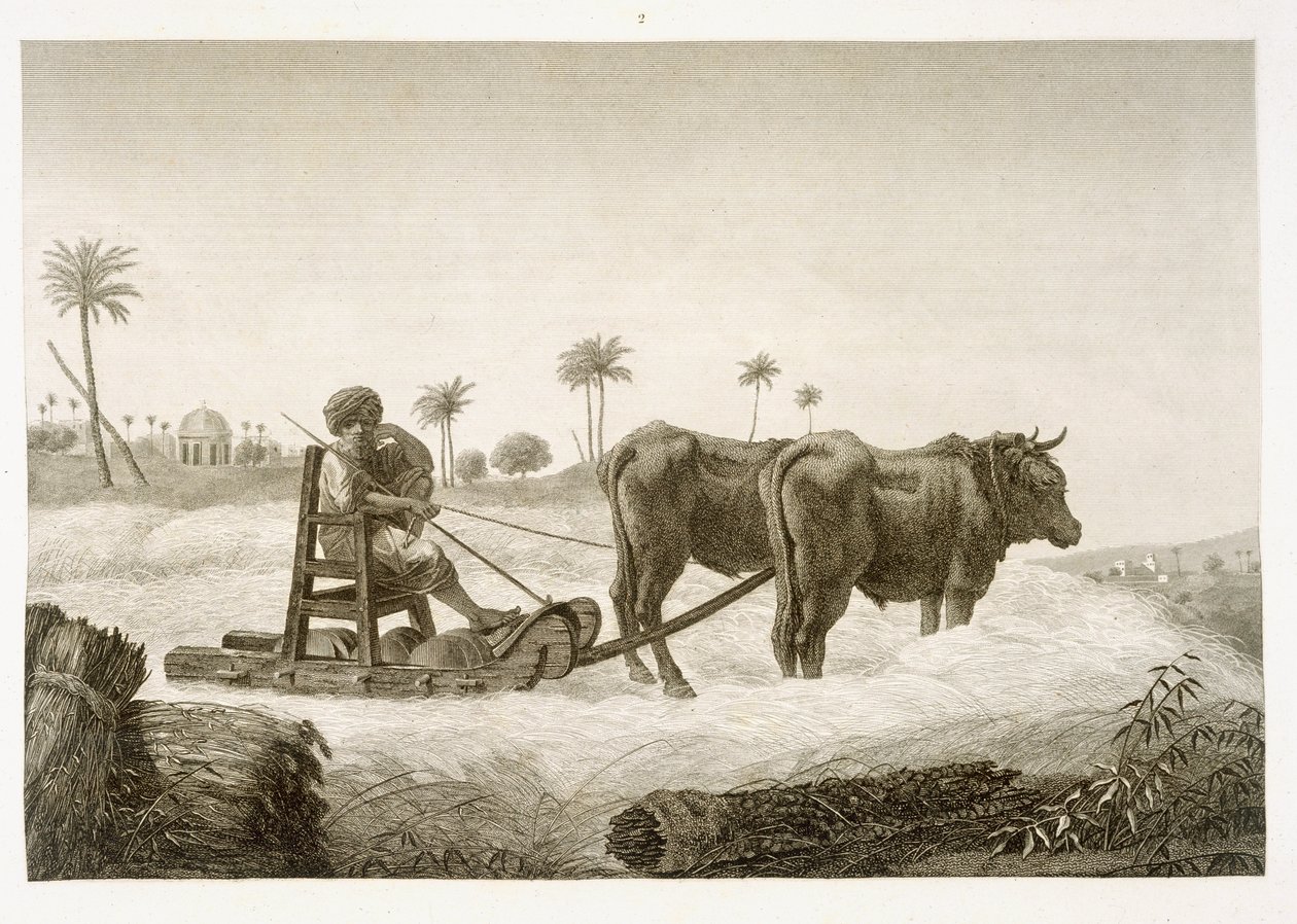 Oogsten van maïs, uit Volume II Arts and Trades van 