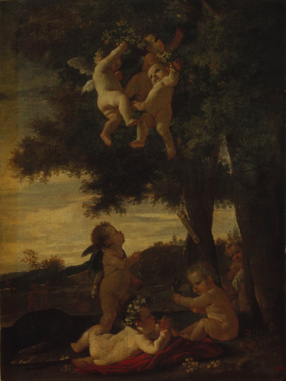 Cupido
