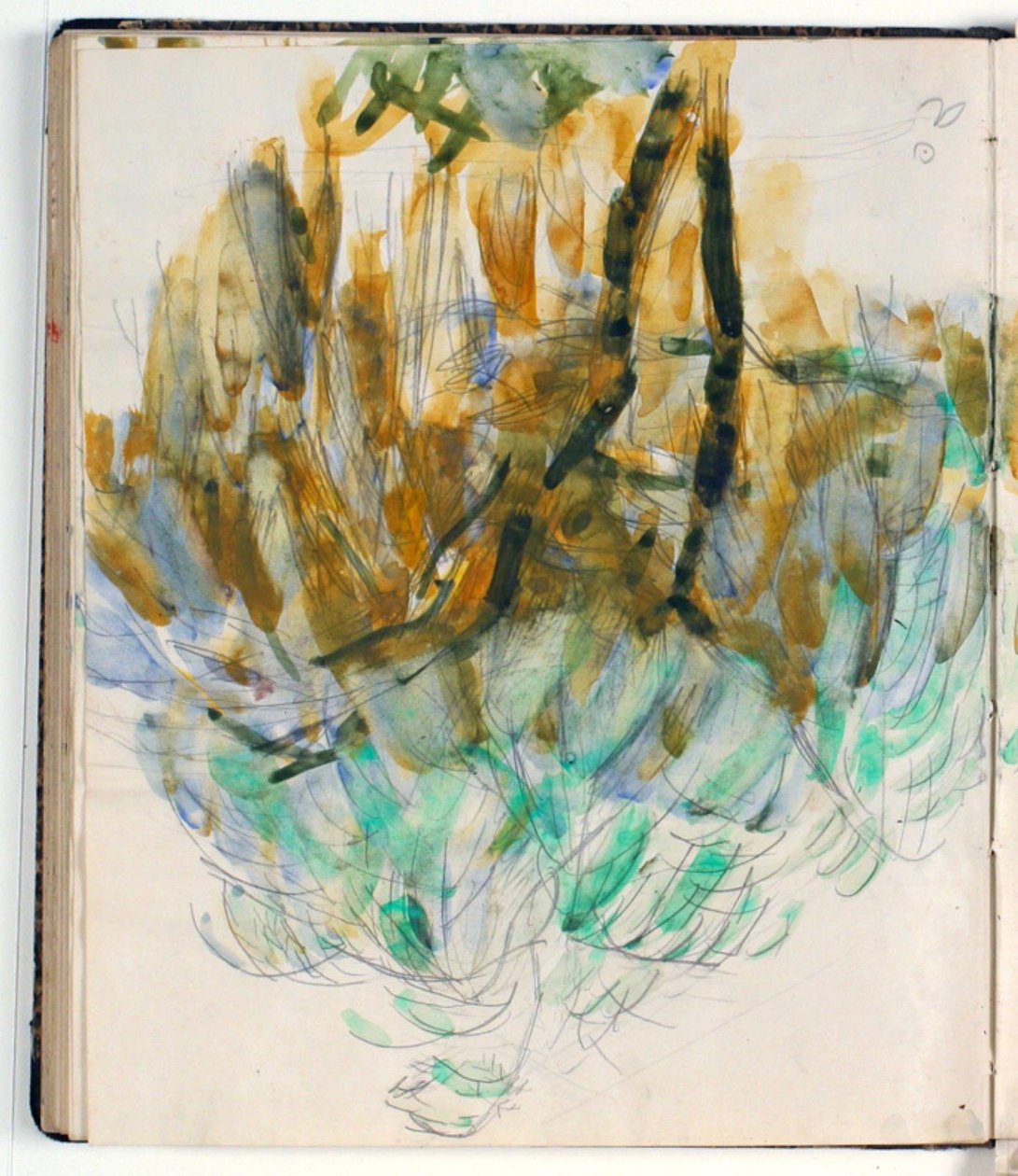 Studie van struikgewas door Niels Larsen Stevns