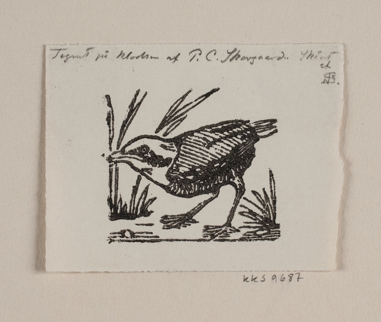 Een vogeljong door Niels Skovgaard