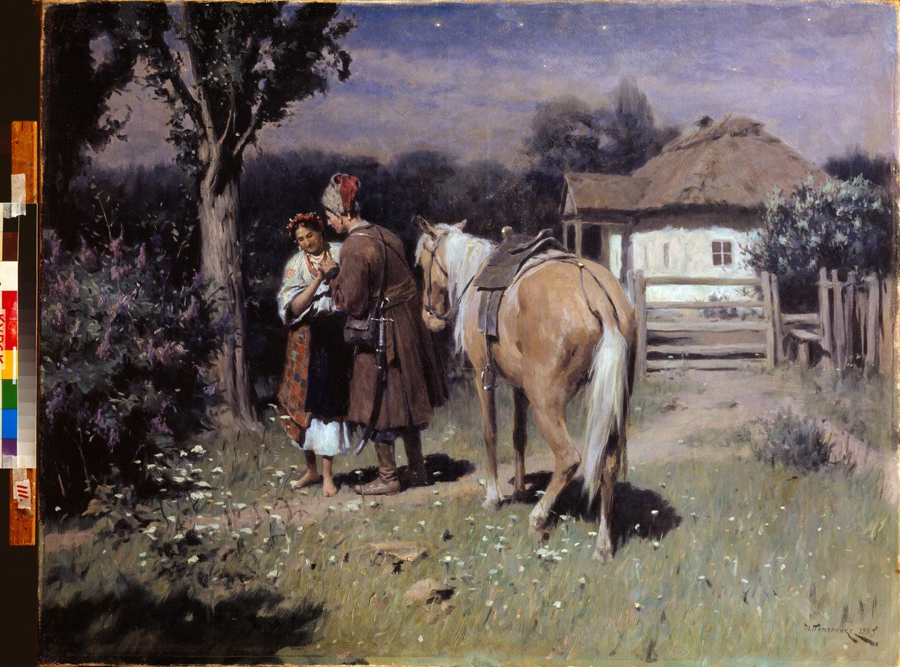 Oekraïense nacht, afspraak door Nikolai Pimonenko