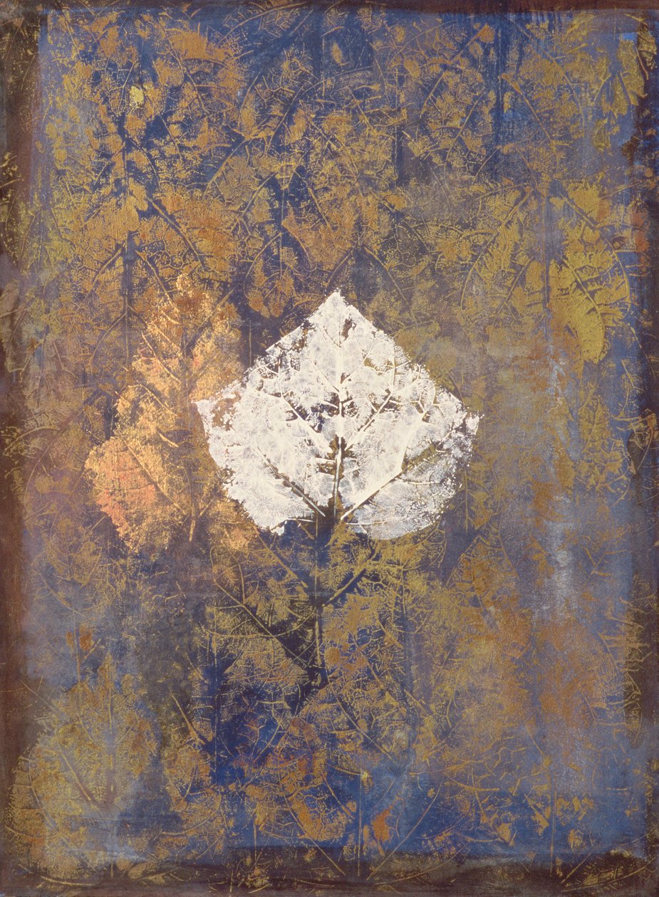 Borromeo door Nissan Engel