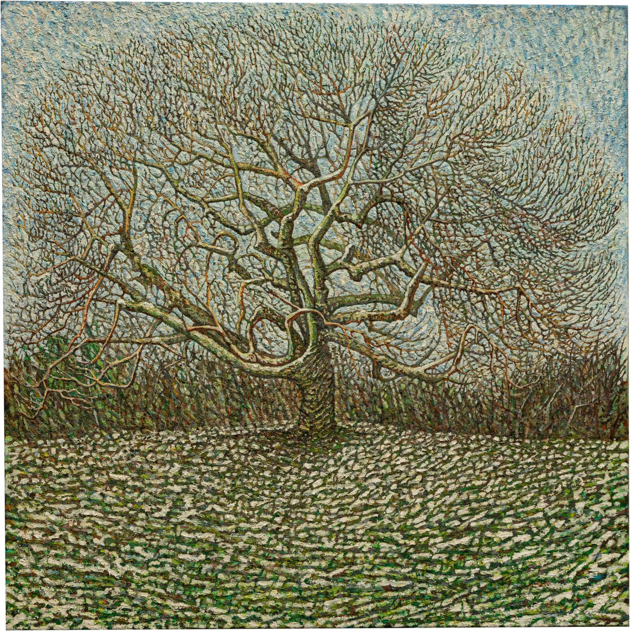De Boom van Vorige Winter door Noel Paine