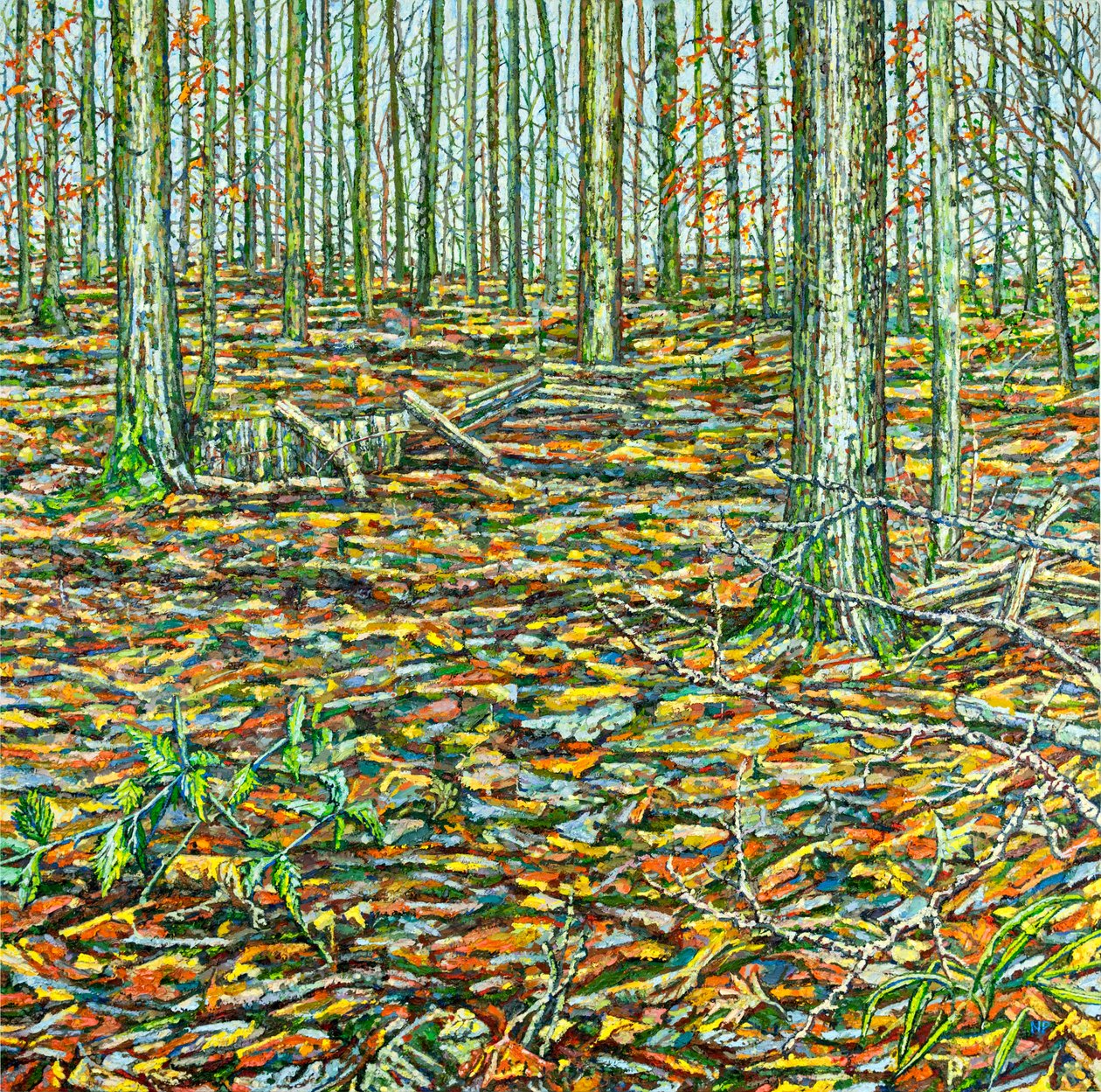 Orches Groundscape door Noel Paine