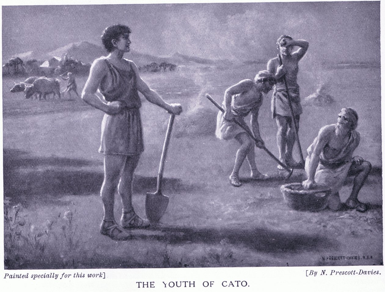 De jeugd van Cato door Norman Prescott Davies