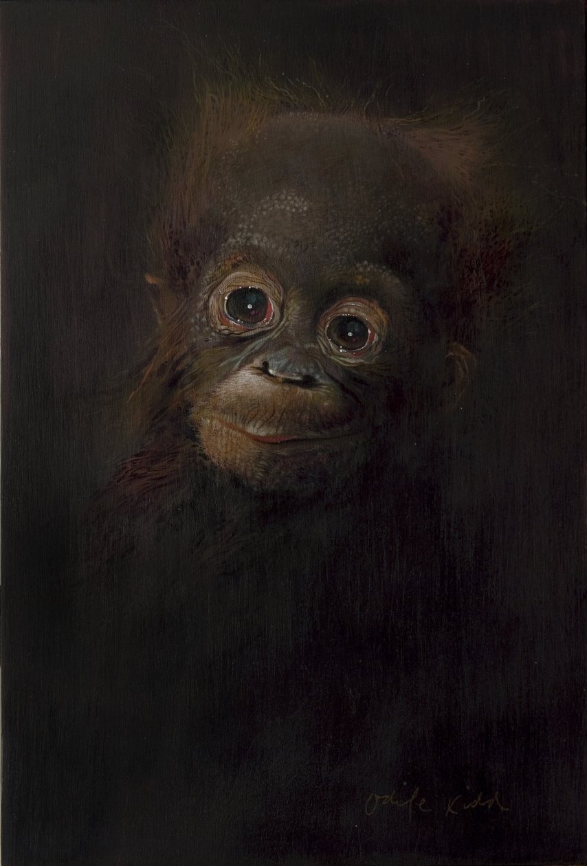 Baby orang-oetan 1, 2009 (acryl op hout) door Odile Kidd