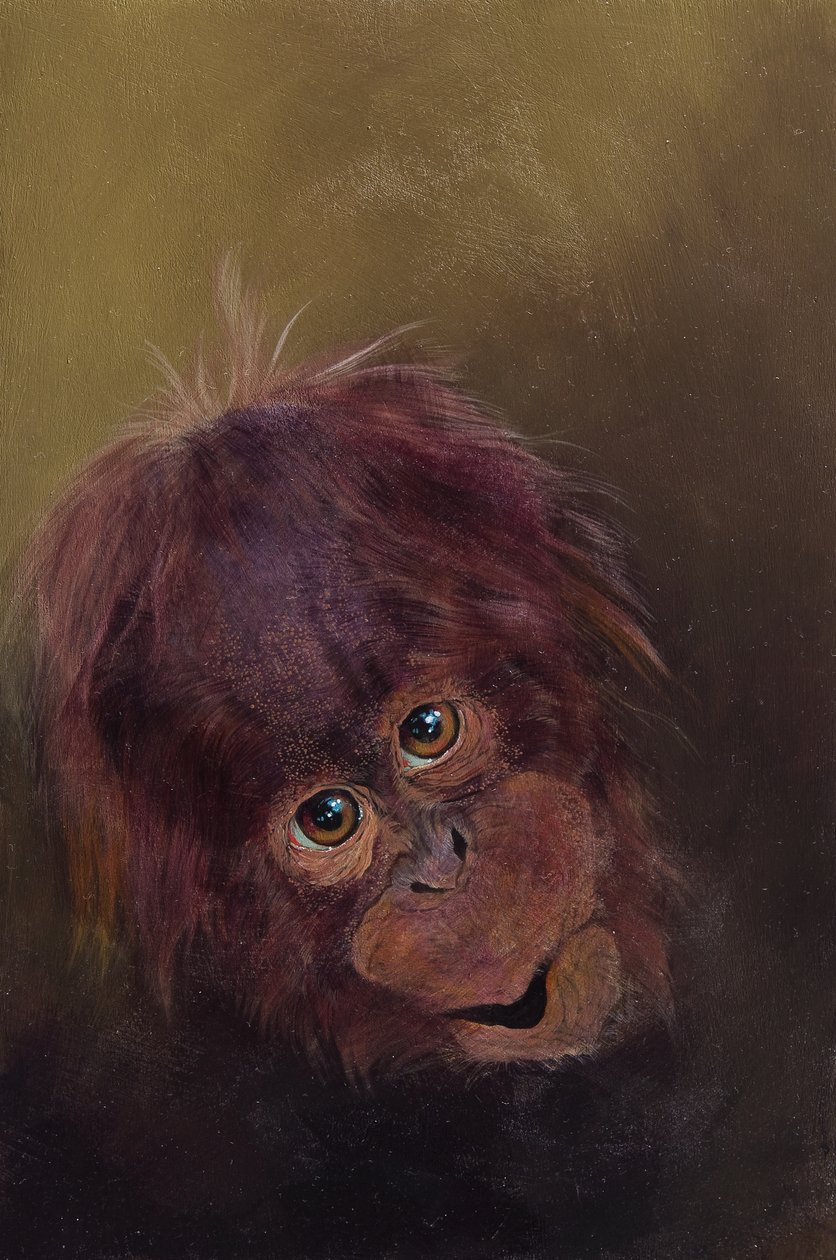 Baby orang-oetan 2, 2010 (acryl op hout) door Odile Kidd