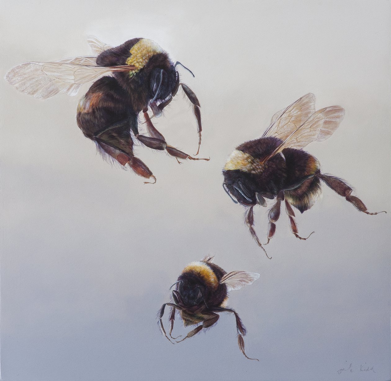 Bombus vlucht 1, 2011 (acryl op hout) door Odile Kidd